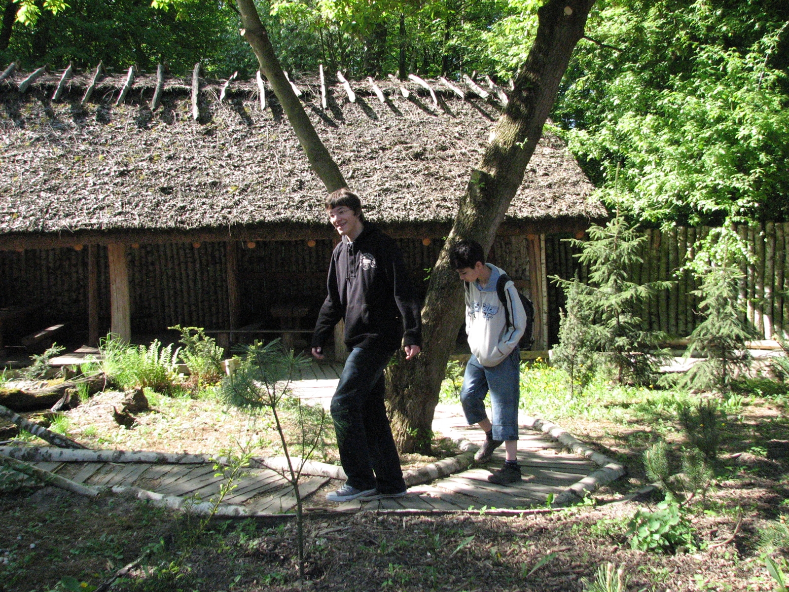 Vorschau